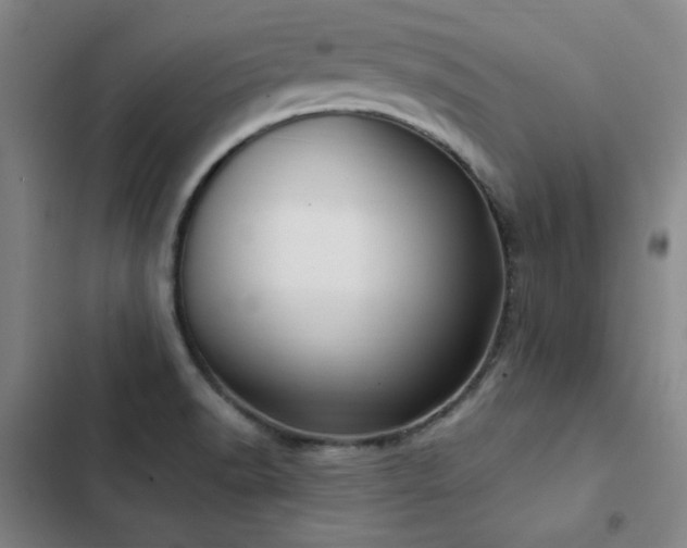 X0000103311518200808291417