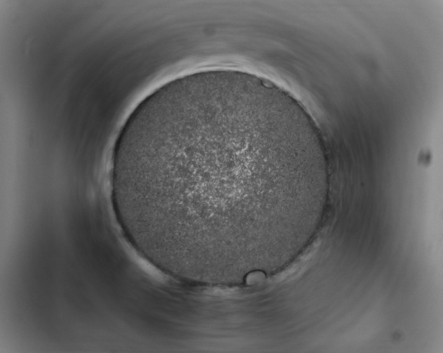 X0000103311519200808291417
