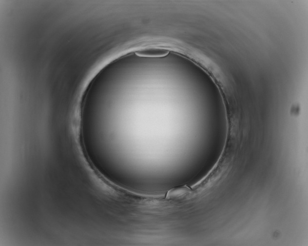 X0000103311520200808291417