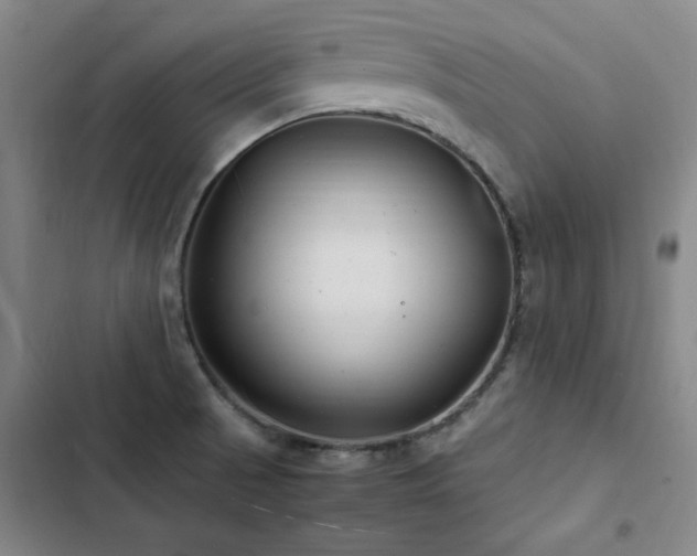 X0000103311521200808291417