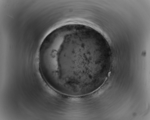 X0000103311522200808291417
