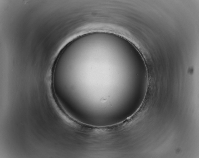 X0000103311523200808291417