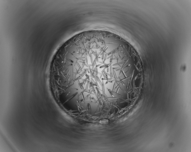 X0000103311525200808291417