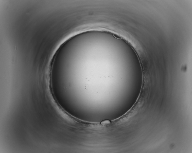 X0000103311526200808291417