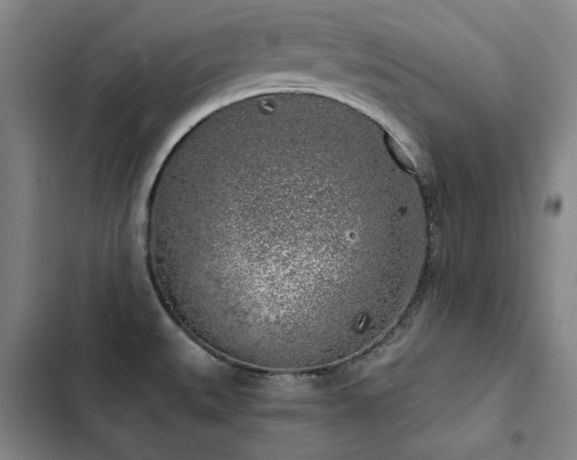 X0000103311527200808291417