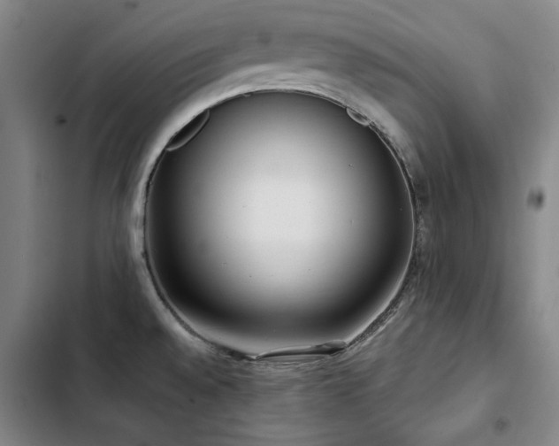 X0000103311528200808291417