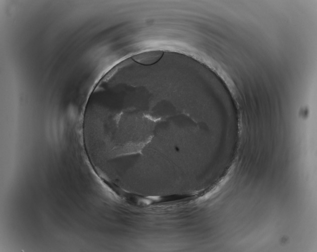 X0000103311529200808291417