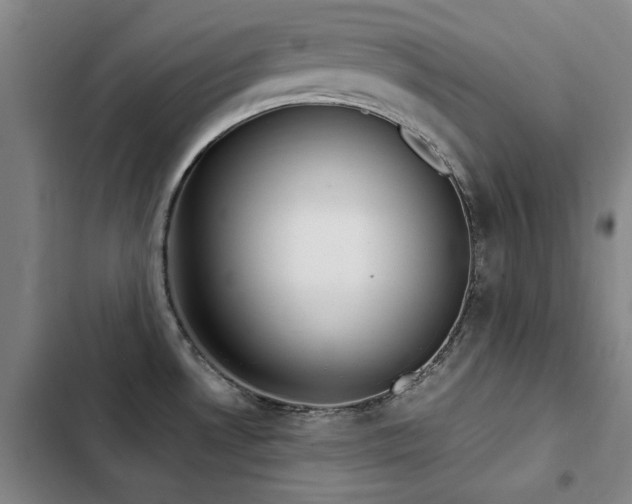 X0000103311530200808291417