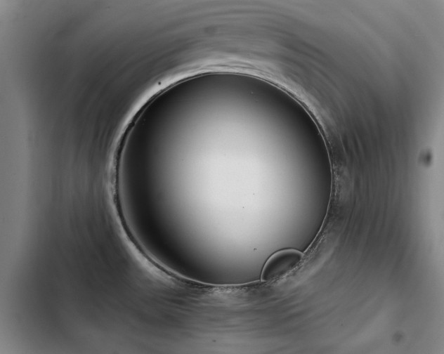 X0000103311531200808291417
