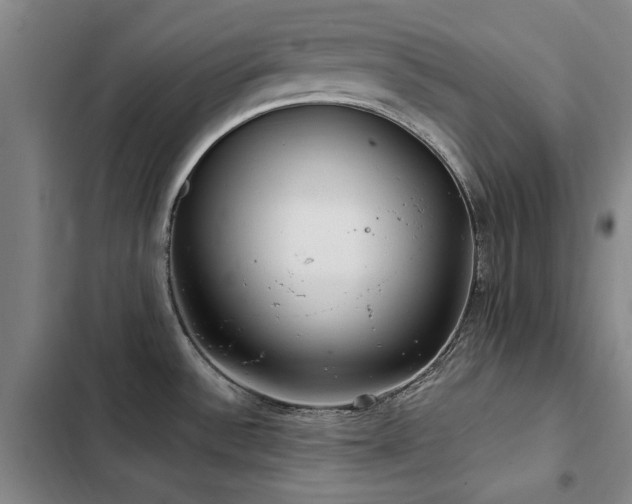 X0000103311532200808291417
