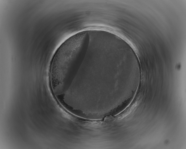 X0000103311533200808291417