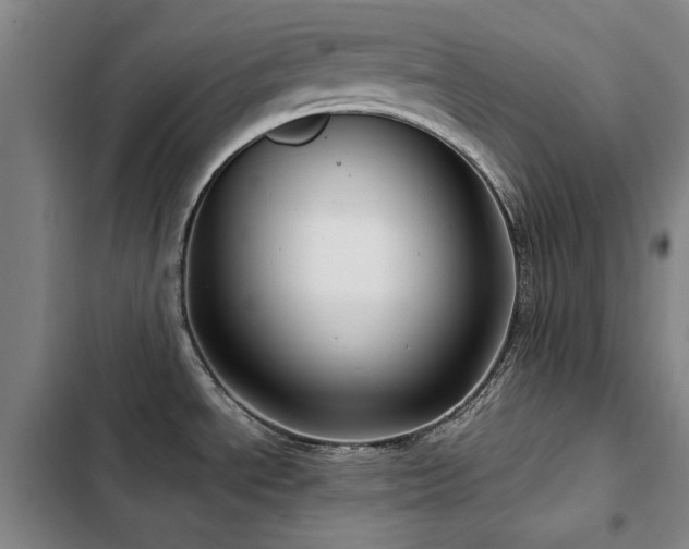 X0000103311534200808291417