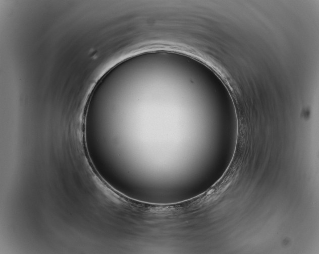 X0000103311535200808291417