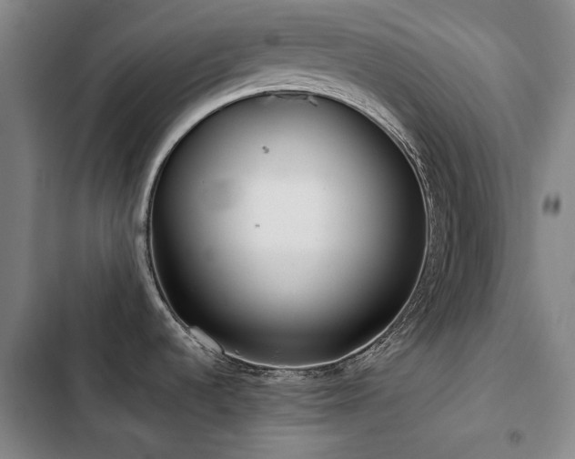 X0000103311536200808291417