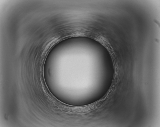 X0000103310001200809051555