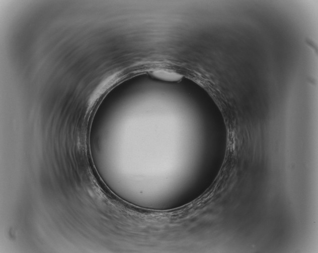 X0000103310004200809051555