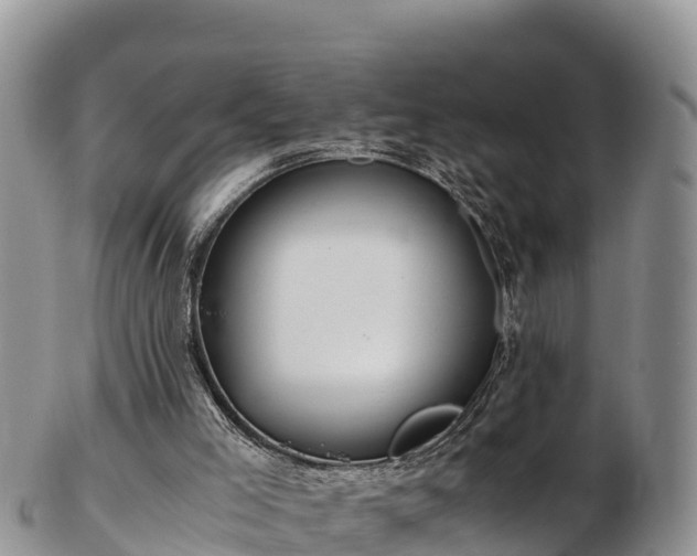 X0000103310005200809051555