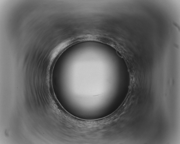 X0000103310006200809051555