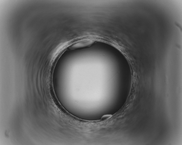 X0000103310007200809051555