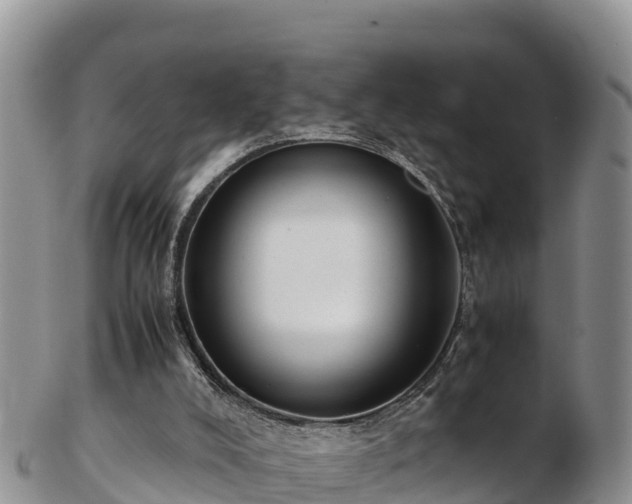X0000103310008200809051555