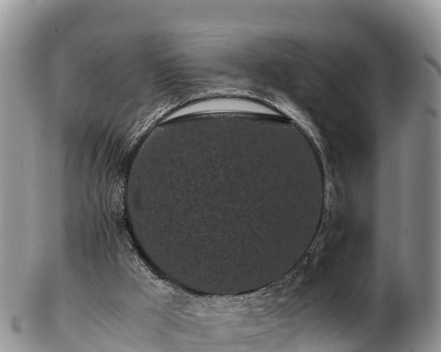 X0000103310009200809051555