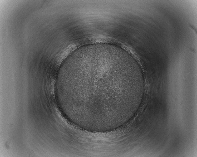 X0000103310010200809051555