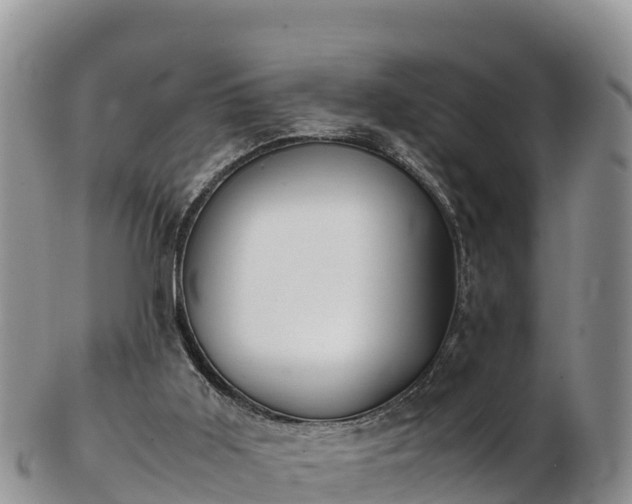 X0000103310011200809051555