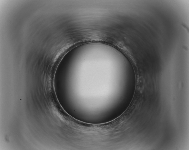 X0000103310012200809051555
