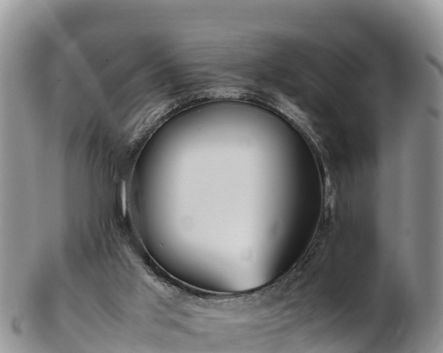 X0000103310013200809051555