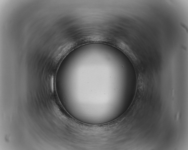 X0000103310014200809051555