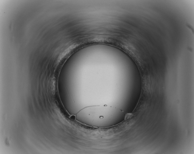 X0000103310016200809051555