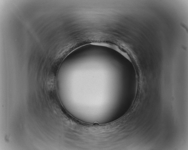 X0000103310017200809051555