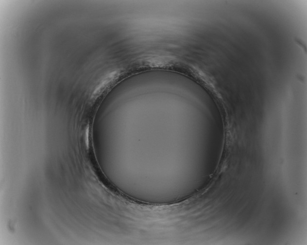 X0000103310019200809051555