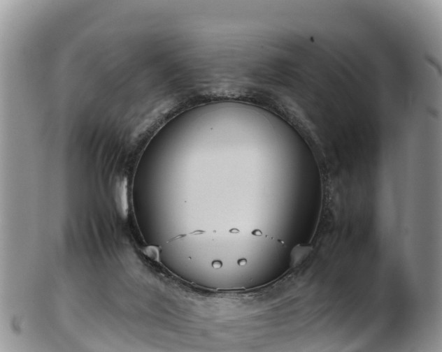 X0000103310020200809051555