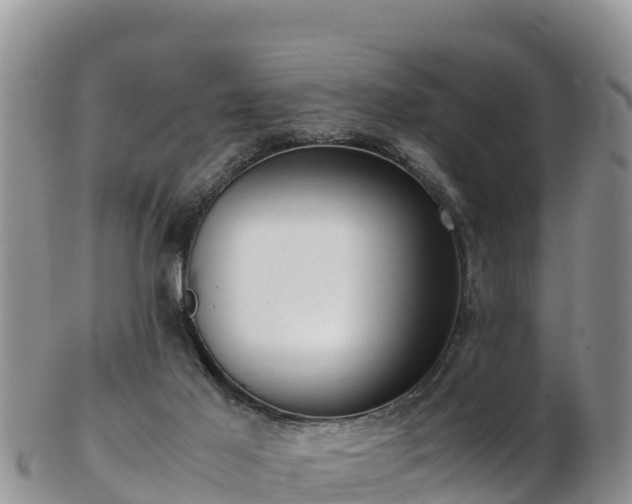 X0000103310021200809051555