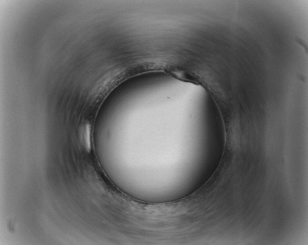X0000103310022200809051555