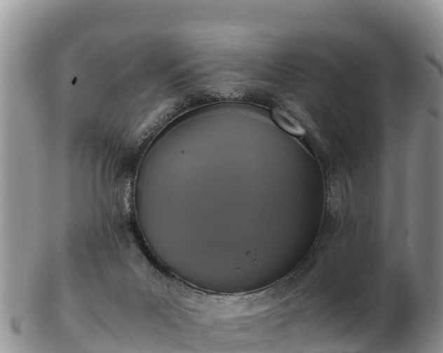 X0000103310023200809051555