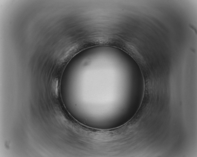 X0000103310024200809051555