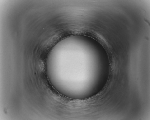 X0000103310025200809051555