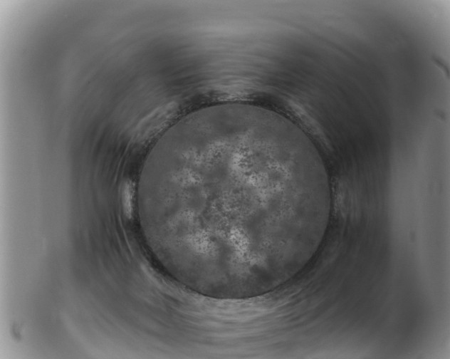 X0000103310026200809051555