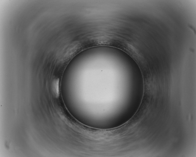 X0000103310028200809051555