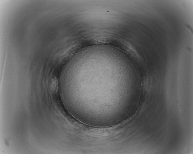 X0000103310029200809051555