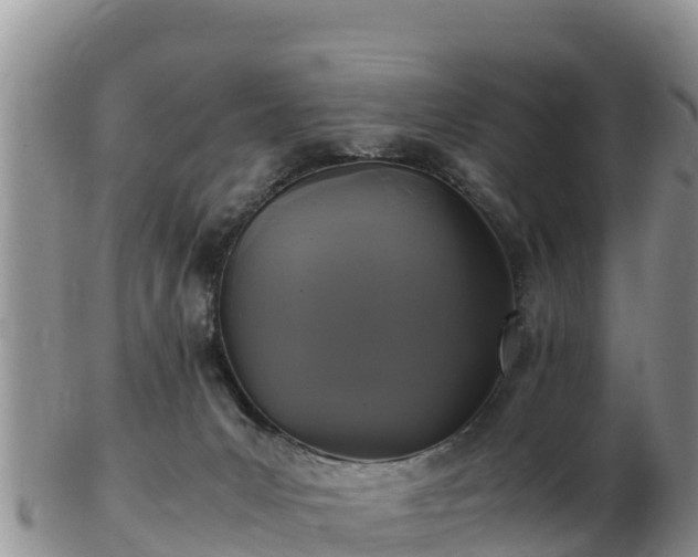 X0000103310031200809051555