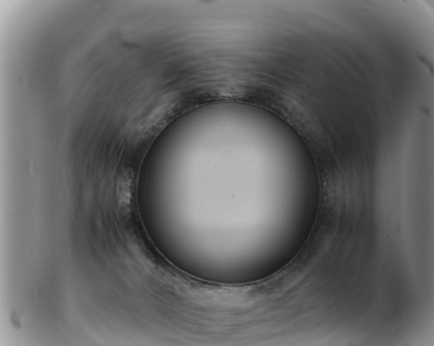 X0000103310032200809051555