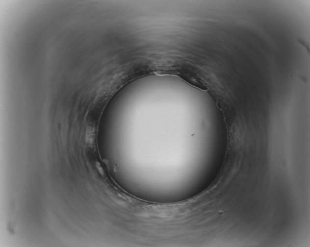 X0000103310033200809051555