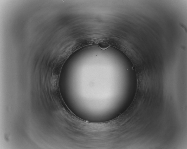 X0000103310034200809051554