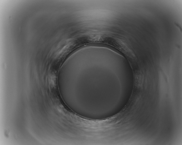 X0000103310035200809051554