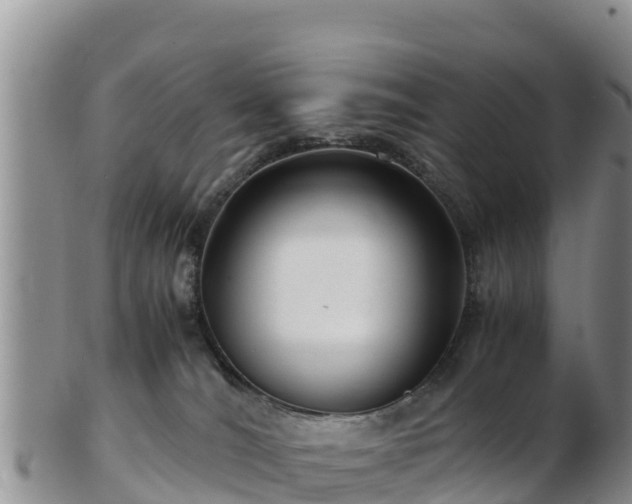 X0000103310036200809051554