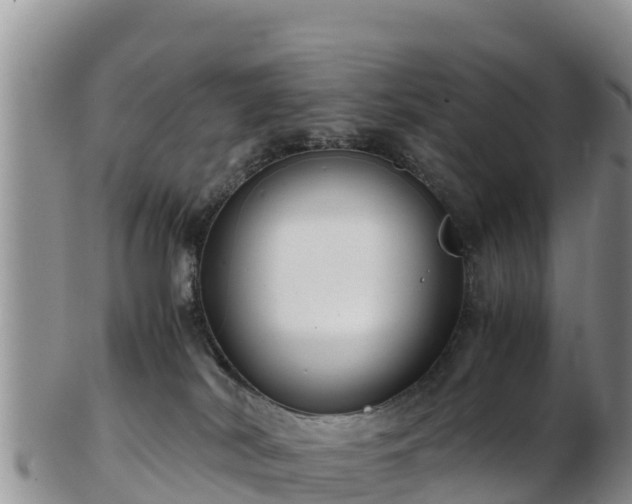 X0000103310038200809051554