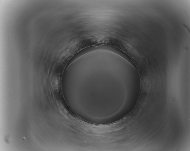 X0000103310039200809051554